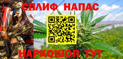 амф Краснознаменск