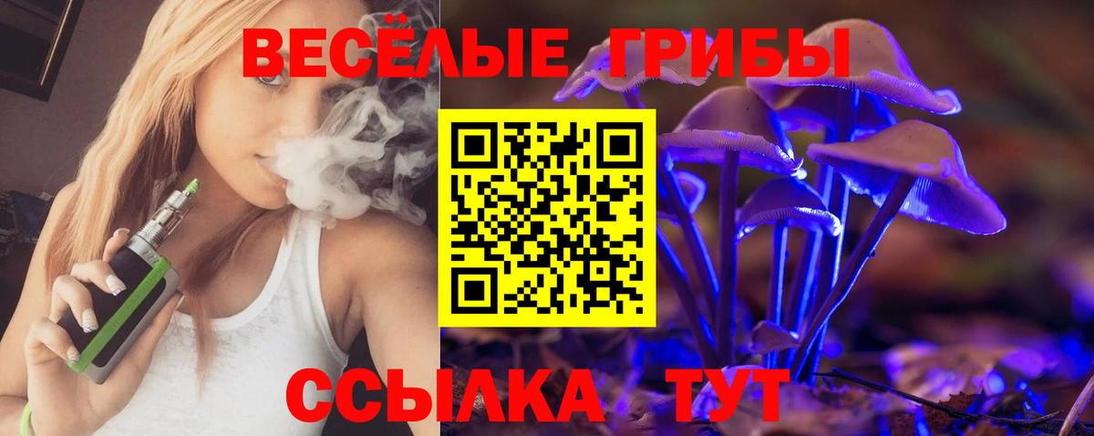 Псилоцибиновые грибы Psilocybe  Галлюциногенные грибы GOLDEN TEACHER  Елец  Вход с VPN 
